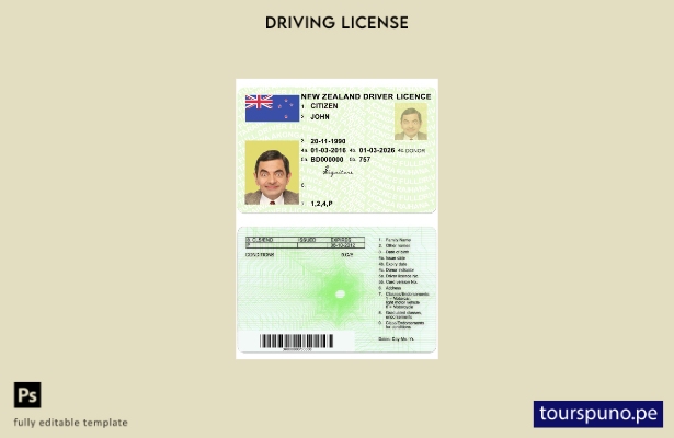 Plantilla de licencia de conducir verde (totalmente calificada) lista para impri